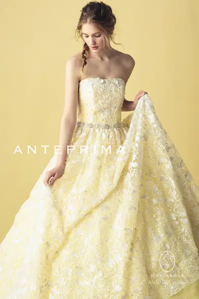 17枚目 ANT0197 yellow
