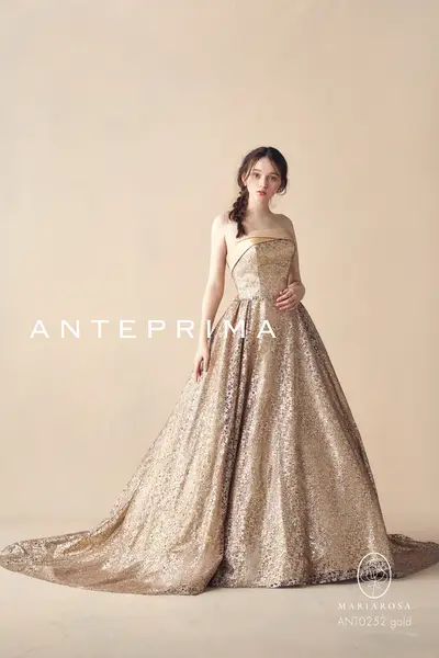 33枚目 ANT0252 gold