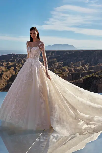 PRONOVIAS(プロノビアス) のウェディングドレス・ブライダル衣装一覧