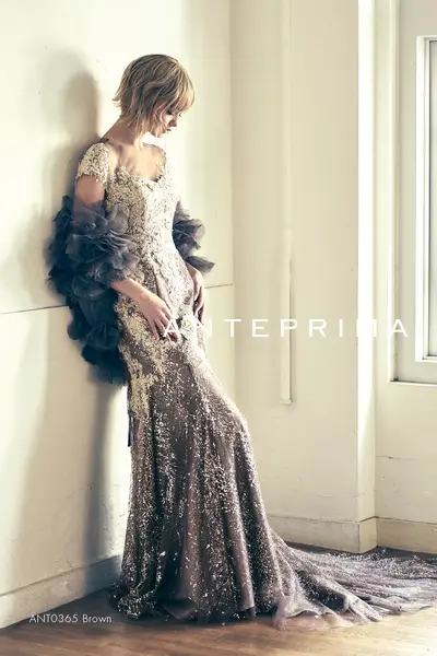 15枚目 ANT0365 Brown