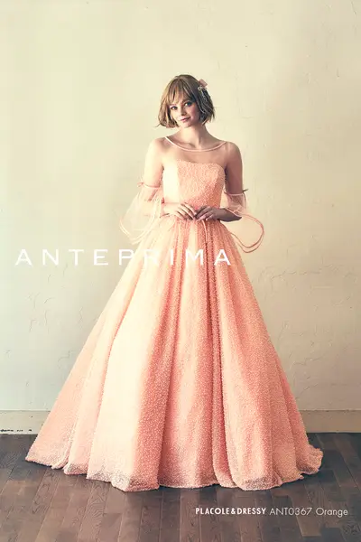 11枚目 ANT0367 orange