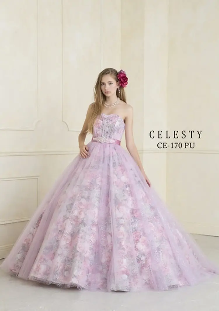 CELESTY logo