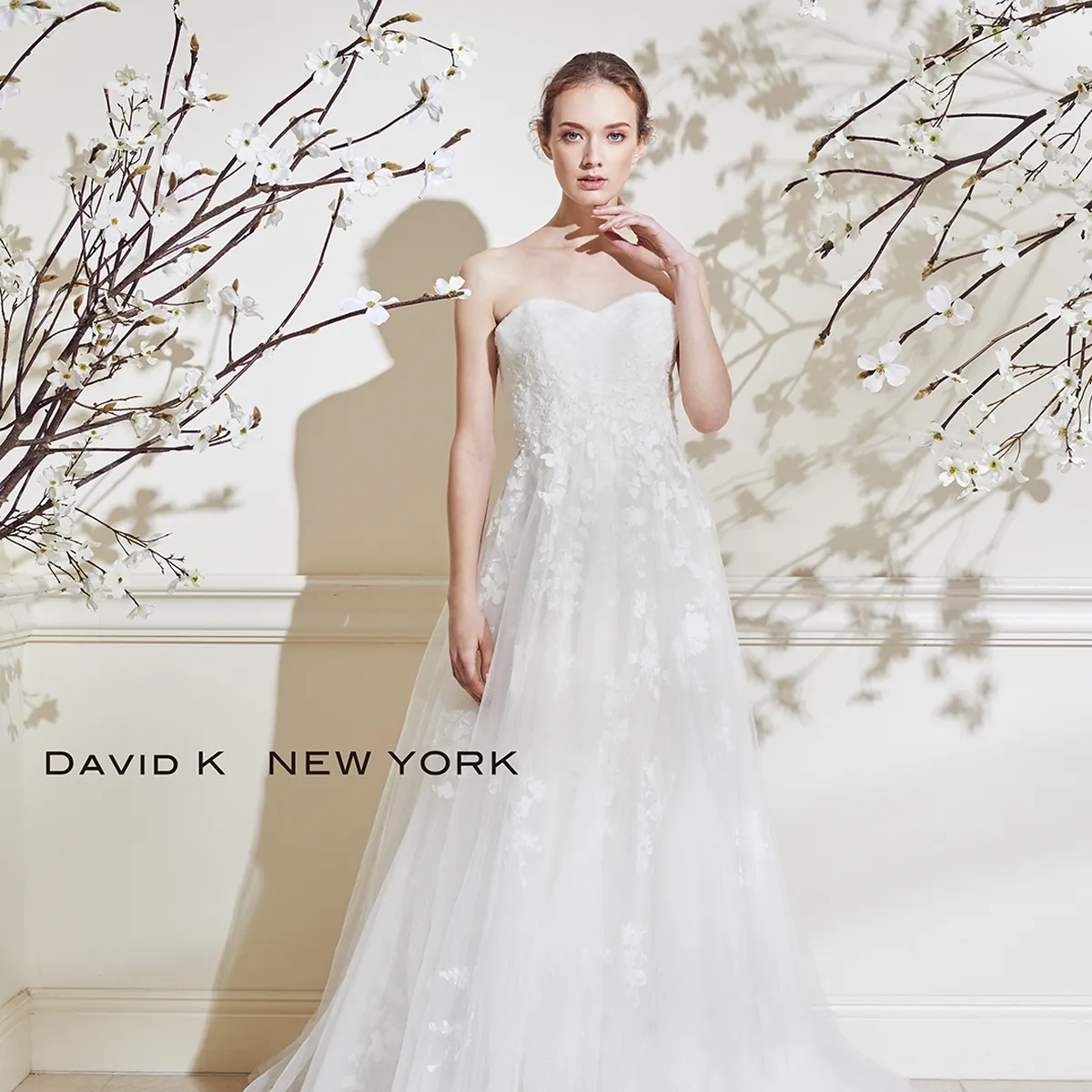 NY-0067 OFF WHITE｜DAVID K NEW YORK(デヴィッドケイニューヨーク)の 