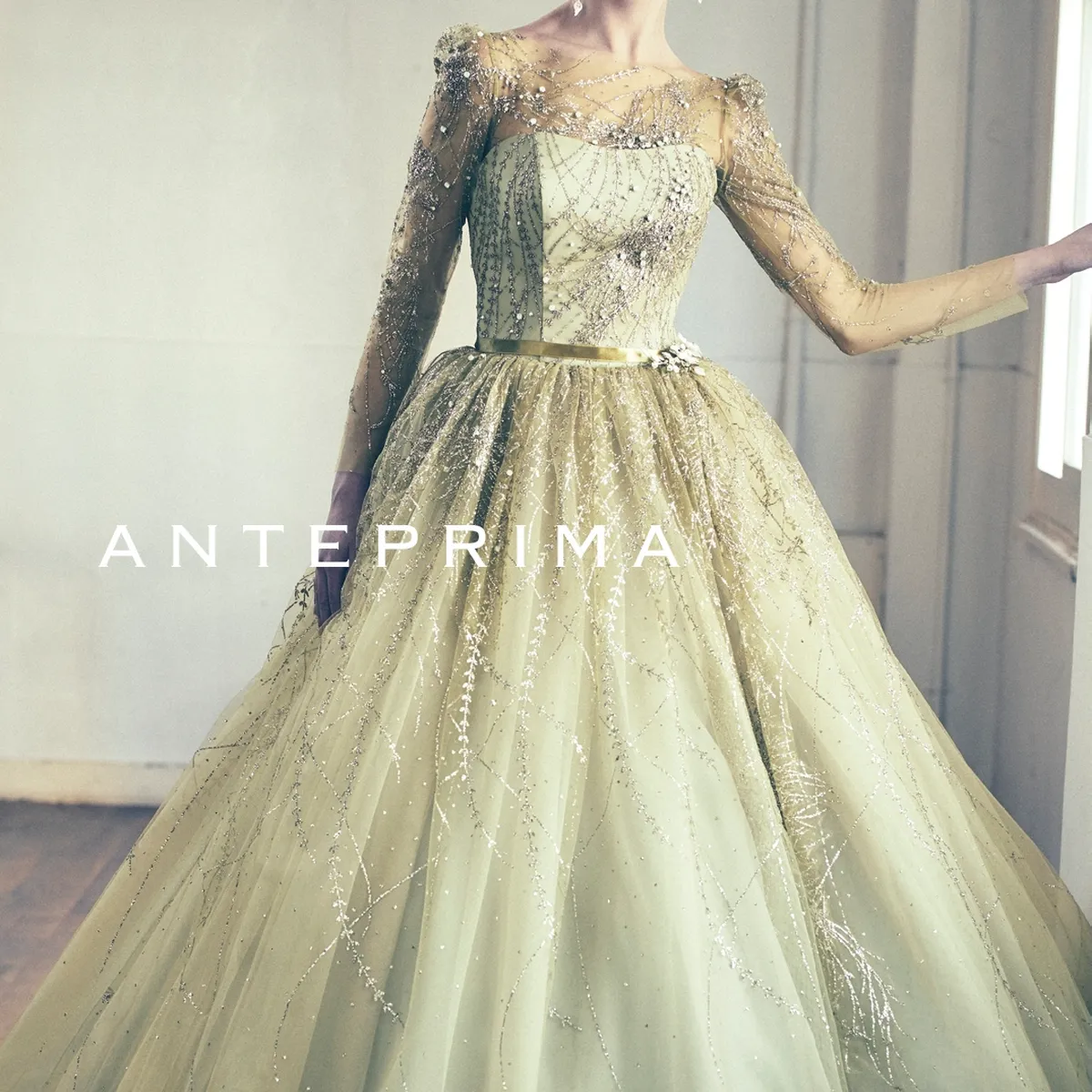 ウェディングドレス ANTEPRIMA ANT0341 olive｜ANTEPRIMA(アンテプリマ)のウェディングドレス