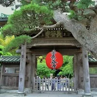 あじさいで有名な長谷寺は、一年中季節の花が楽しめ、別名花寺とも呼ばれるお寺。こちらは徒歩3分の距離。