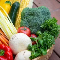 食材にこだわって仕入れをしています