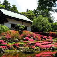 初夏にはツツジの花が咲き誇る日本庭園。季節を感じながら挙式に参加していただける。