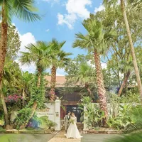 小高い丘の上には50本以上植えた女王ヤシが連なる