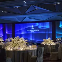 【プロミネンス】
特別演出として、ゲストの視界180度を包み込むプロジェクションマッピングが可能