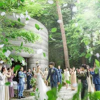 森の中のフラワーシャワー