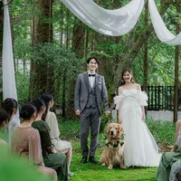 愛犬の肉球スタンプも結婚証明書に