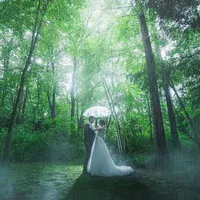 【雨の日のアネーリが一番美しい】霧がかかると森も一層幻想的に