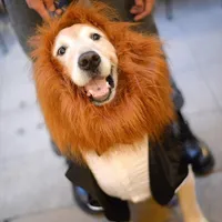 大切な愛犬も参列♪パーティーも同じ空間で！おめかしして、お祝い☆