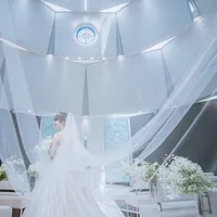 美しく広がるベールで幻想的なショットに