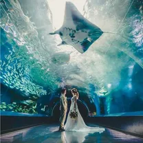 《フォトウェディング》9.3万円～叶う◎館内見学×相談会