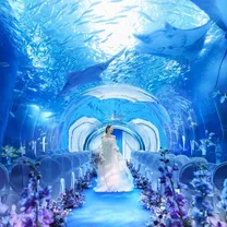 アクセス×記憶に残る結婚式◆豪華試食付きフェア♪