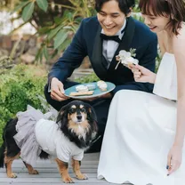 ＼表参道で貸切ペット婚／黒毛牛コース贅沢試食×貸切の魅力★ワンちゃん料理特典付き