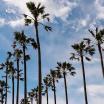 当日予約もOK！【90分完結】タイパ重視の方に◎