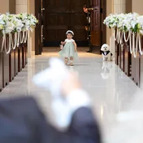 大切なペットも一緒に♪結婚式まるわかり相談会