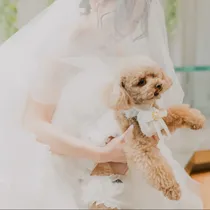 【愛犬も主役】美食×1軒屋貸切で叶える、ペットと彩るオリジナルウェディング相談会