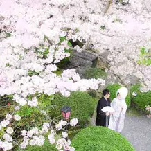 松柏園ホテルの外観の写真484498