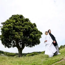 シャトー ラ・パルム・ドールの人物・演出の写真249971