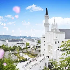 \先輩花嫁大絶賛/自宅でオンライン相談×会場まるごと動画体験