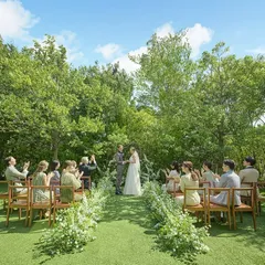 アコールハーブのピックアップフェア