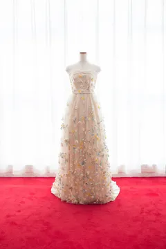 【美品】Alexandragrecco Lana gown 4909123768207327742.