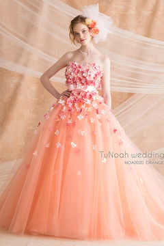 NOA0020_orange