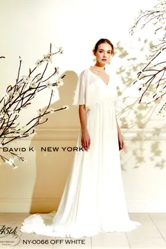NY-0066