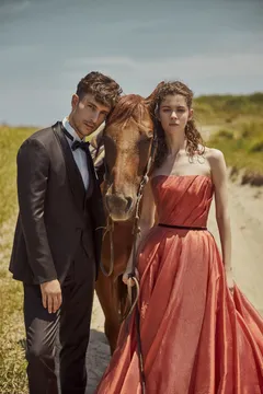 テラコッタシュリー