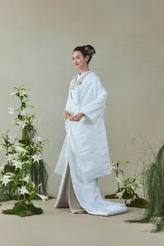 唐織 七宝桐文