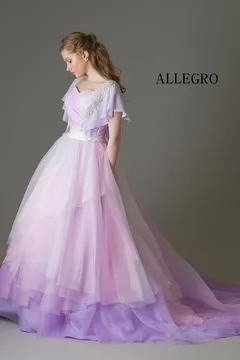 e21507　ALLEGRO