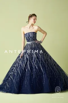 ANT0164 navy