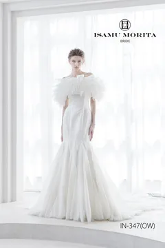 IN-347(OW)