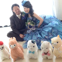 アンシャンテの前撮り フォトウェディングの口コミ 写真 費用一覧 みんなのウェディング