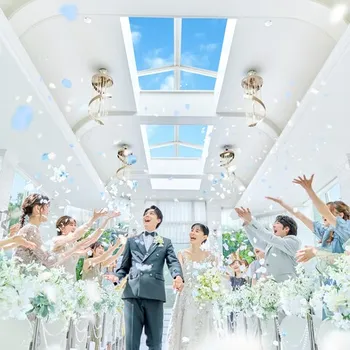 Diana シルバー ウェディングシューズ 花嫁 新婦 結婚式 挙式 披露宴