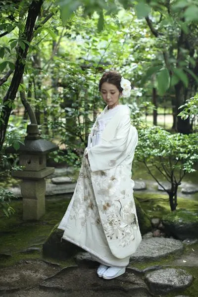 第20位 白無垢/0‐210　半襟/201‐8541