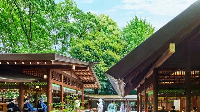 『夫婦和合』の神に誓う 乃木神社の神前式