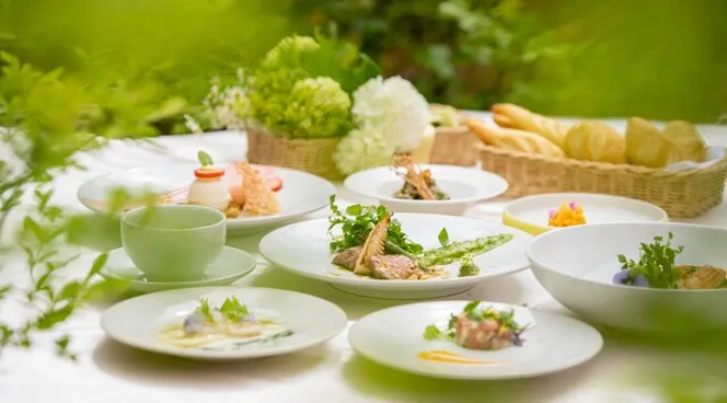 ”和”と”フレンチ”が融合したモダンプロヴァンス料理