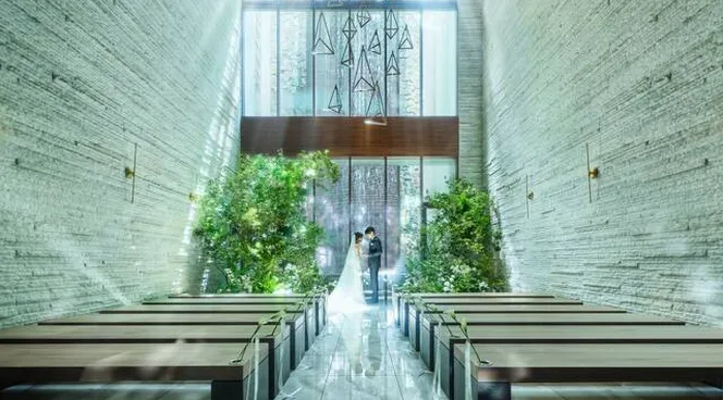 着画あり★ クリーニング済み　結婚式　パーティ　習い事　おしゃれ着 L2126で理想の結婚式【ゼクシィ】