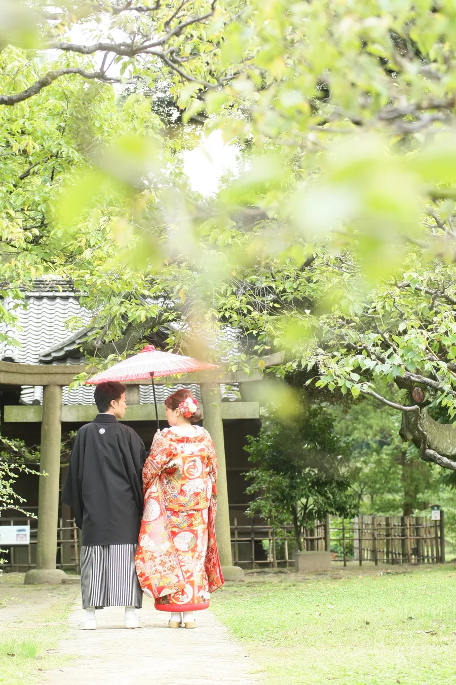 和装 色打掛 ロケーション 庭園 バックショット 番傘 黒紋付袴 紅葉