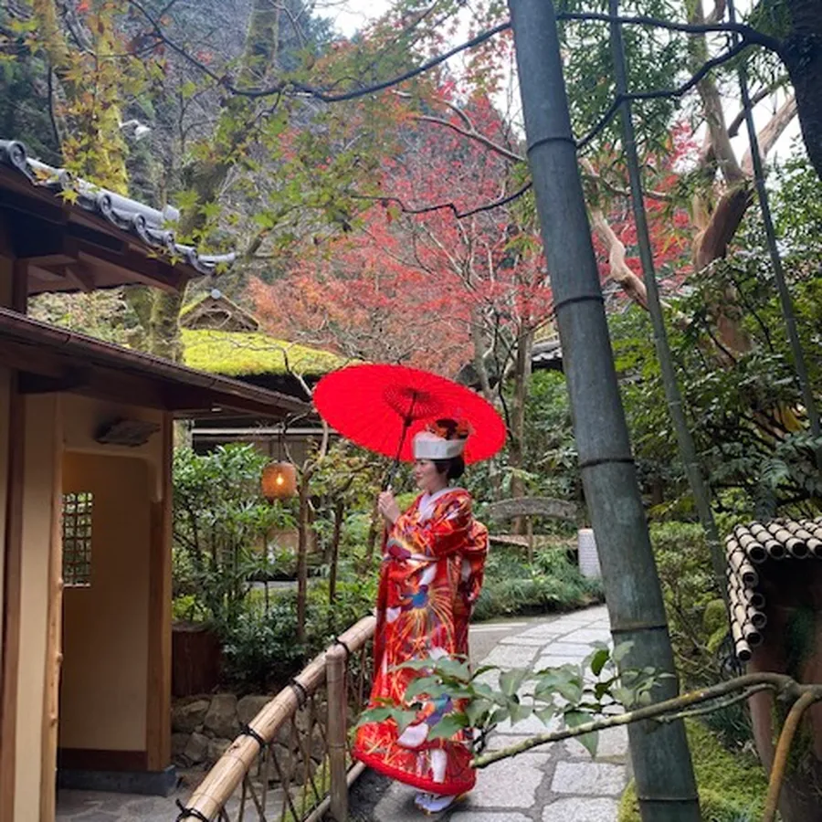 和装 色打掛 ロケーション 紅葉 文金高島田 角隠し 番傘