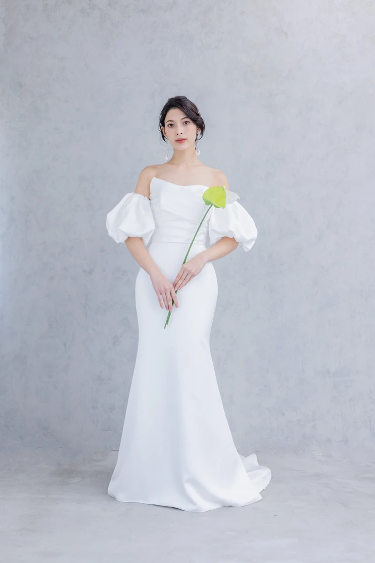 Resoll collection / AULA (アウラ) 1枚目