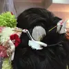 ウェディングプラザ アラスカ