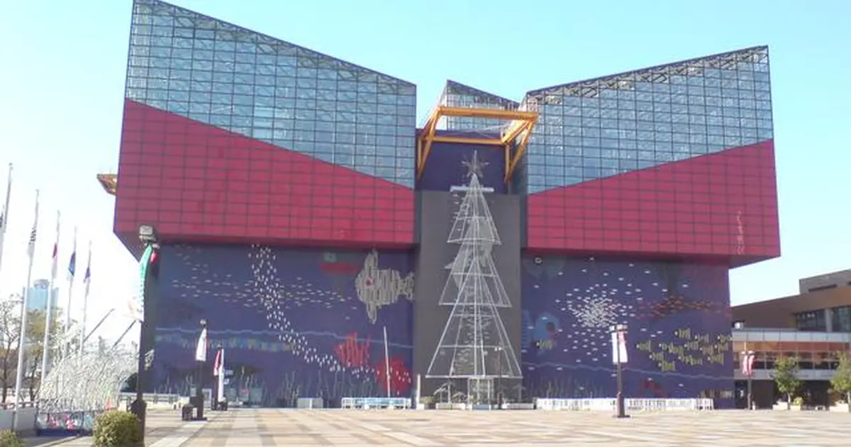 海遊館で結婚式 みんなのウェディング