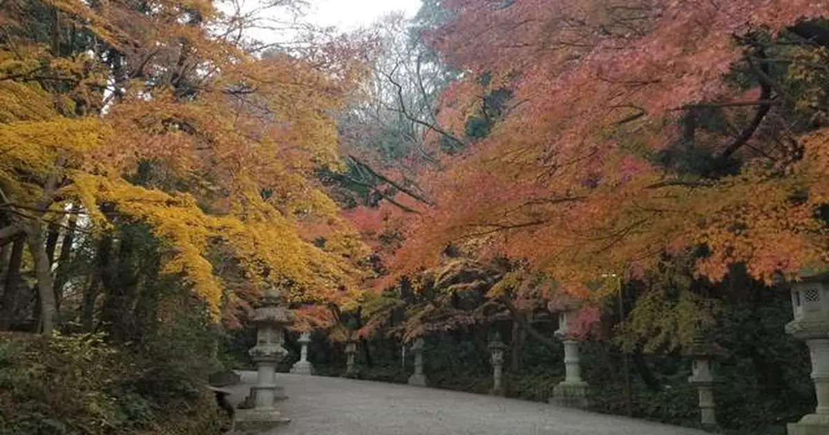 香取神宮で結婚式 みんなのウェディング