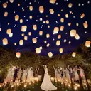 thumbnail_10207_2}