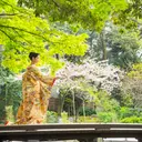 thumbnail_10642_2}